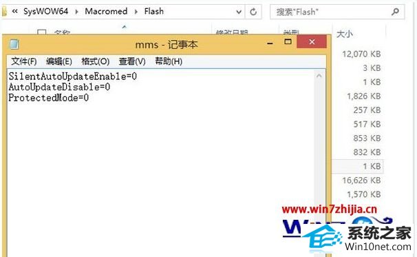 win10ϵͳûflashֹּͣӦͼĲ