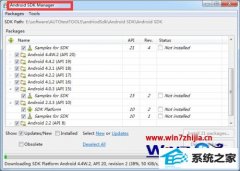 ϵͳ֮ҽwin8ϵͳAndriod sdK Manager޷µ