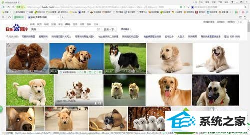 无法截取出来 win10系统无法将网页的整体页面效果截取下来的解决方法