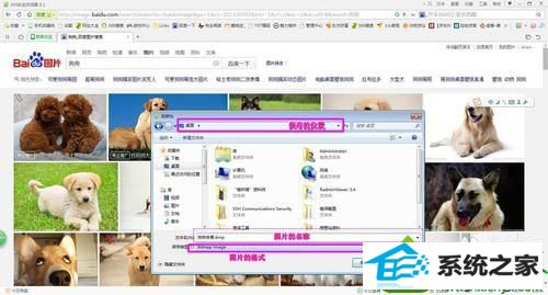 选择”保存网页为图片“ win10系统无法将网页的整体页面效果截取下来的解决方法