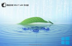 ϵͳv2025.05win11 64λ