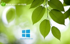 ƻϵͳwin11¾64λv2025.05