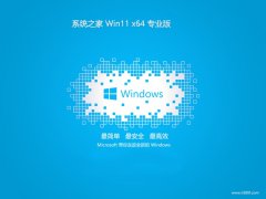 ϵͳ֮win11 64λٷv2025.05