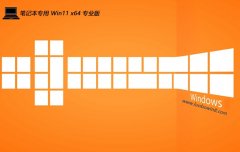 ʼǱwin11 64λֱװʦv2025.05