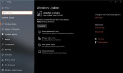 ΢win7 Version 2004 preview Build 19033