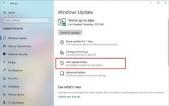 ôΪ20195ûɾwin7 1909汾