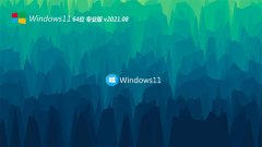 ϵͳ֮Windows11 64λ װ 2021.08